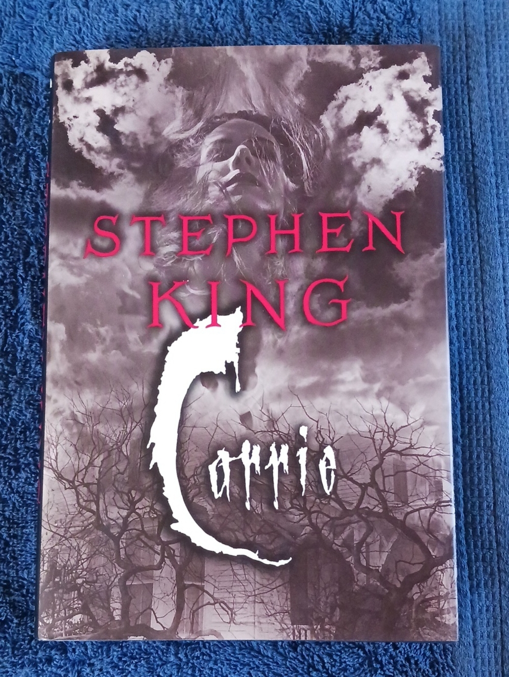 Carrie Hardcover Book & Magnets